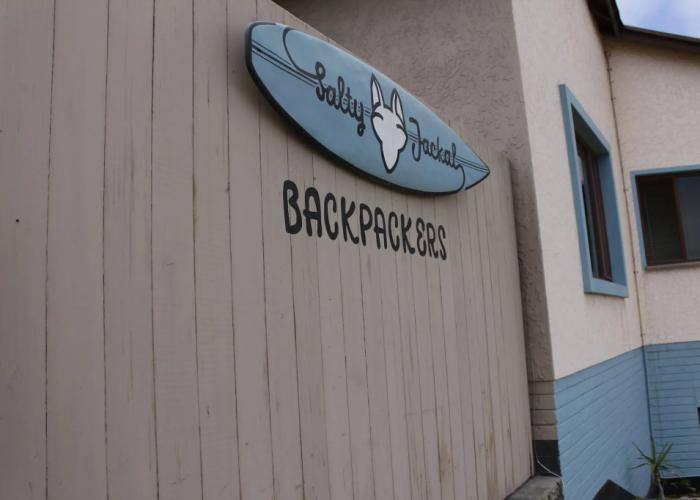 Salty Jackal Surf Camp