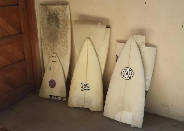 Salty Jackal Surf Camp