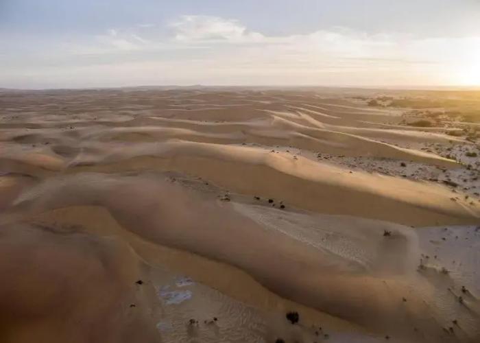 Desert Breeze