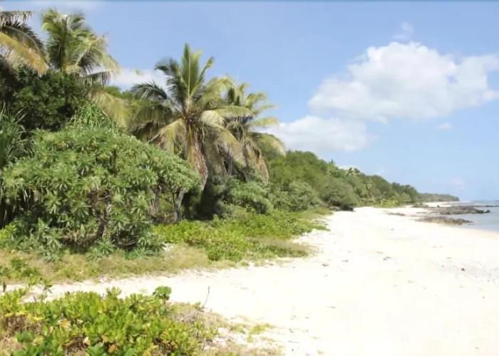 Alofa Beach Bungalows