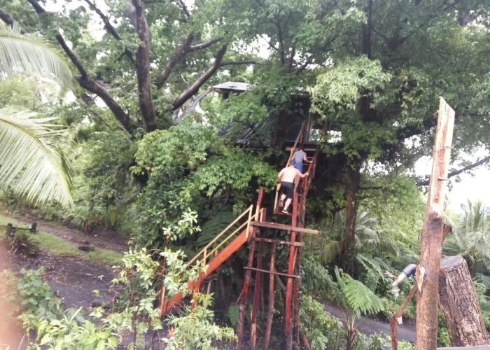 Castle Tree House