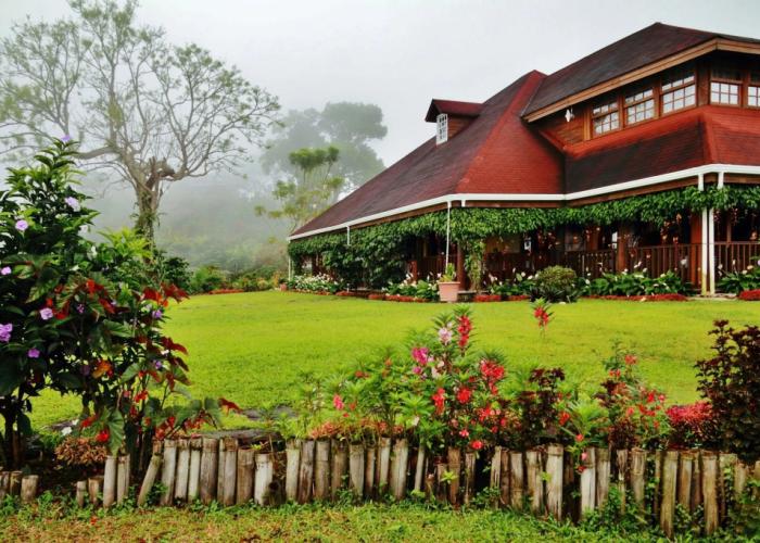 Finca Hamburgo