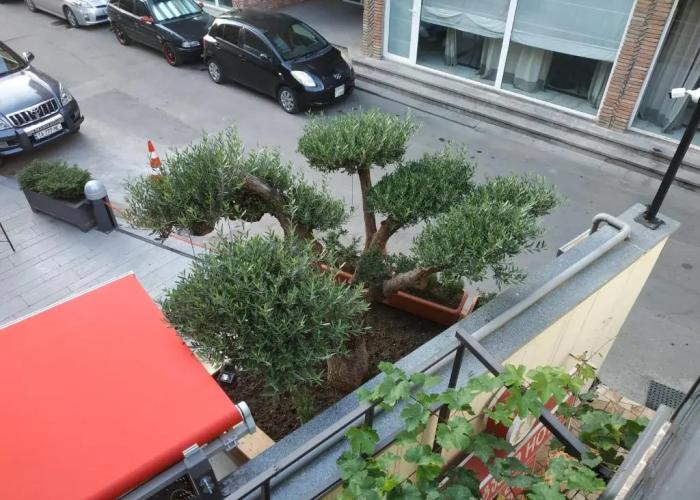 Lions Avlabari Hotel