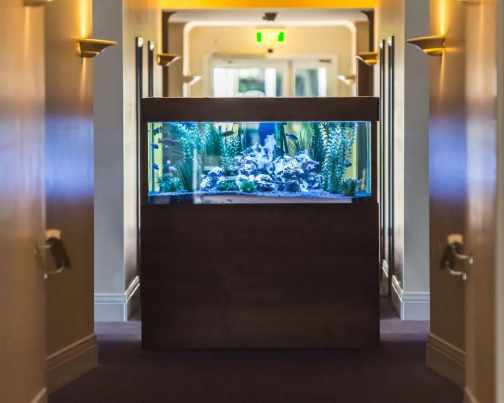 фото Century Inn