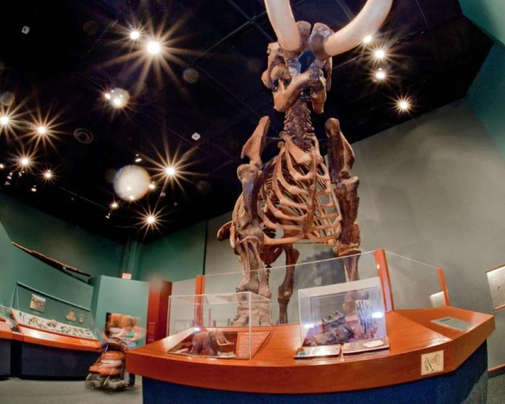 фото Hampton Inn & Suites Tallahassee I-10/Thomasville Road, FL