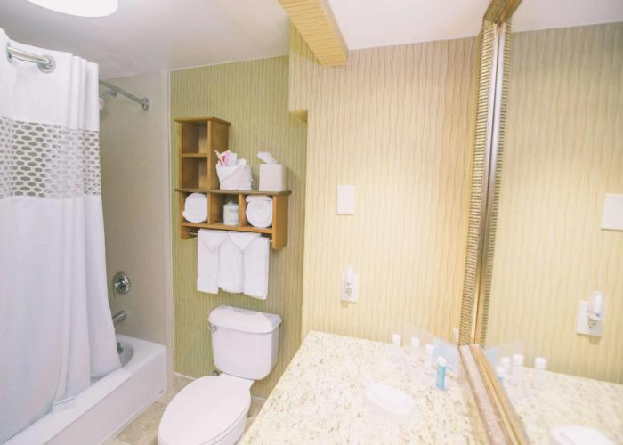 Hampton Inn Tallahassee-Central