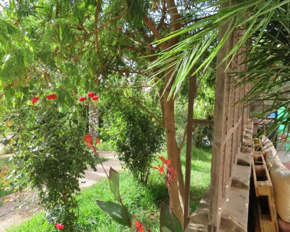 фото ibis Tlemcen