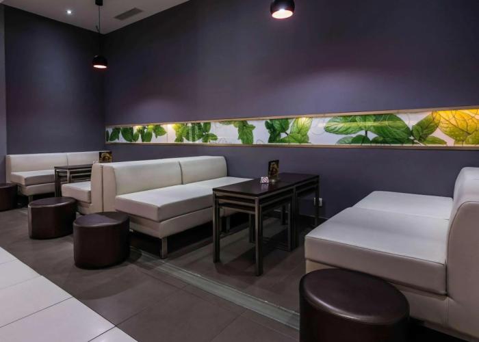 ibis Tlemcen
