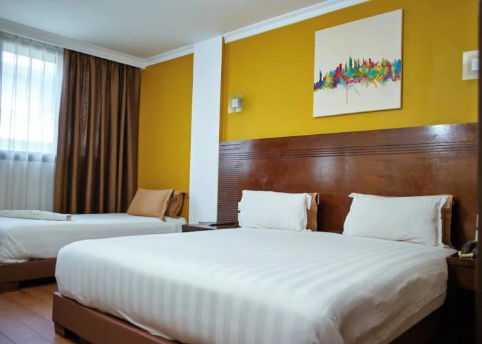 Central Hotel Tana