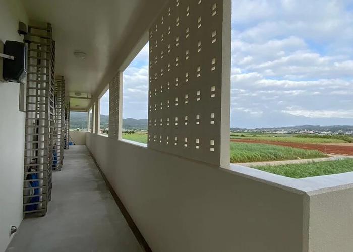 Bears Stay Kumejima Ifu Beach