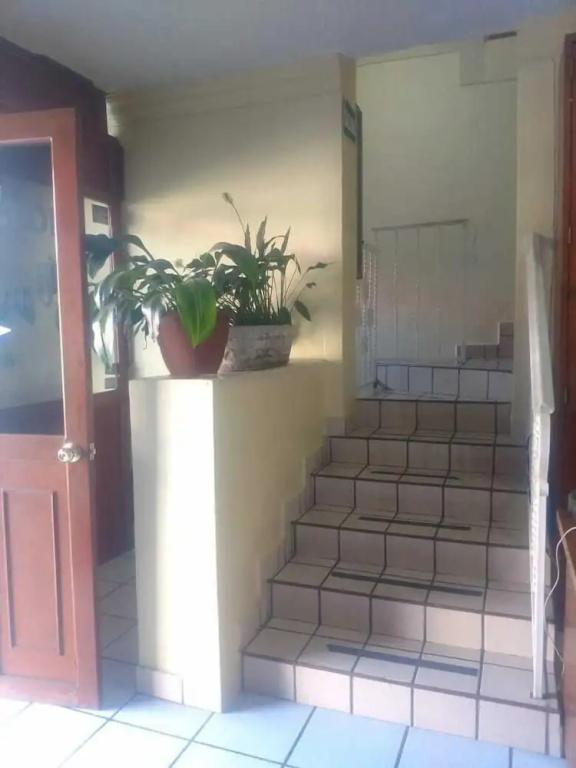 фото Hotel Monarca
