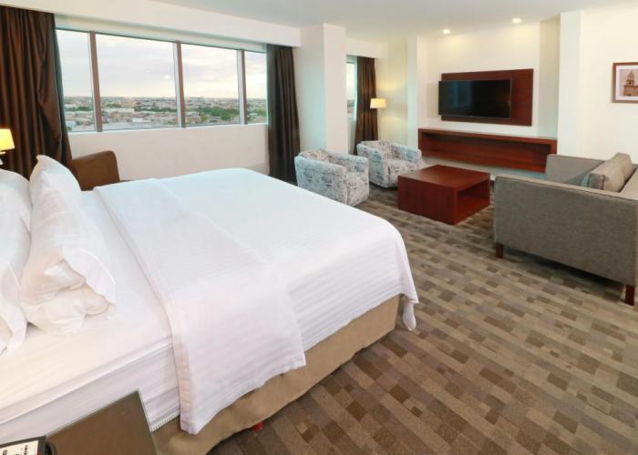 Holiday Inn Leon Plaza Mayor by IHG
