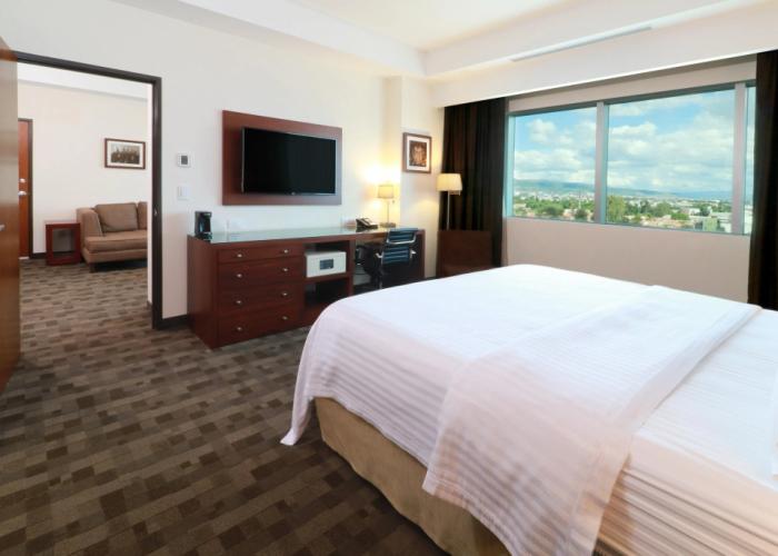Holiday Inn Leon Plaza Mayor by IHG