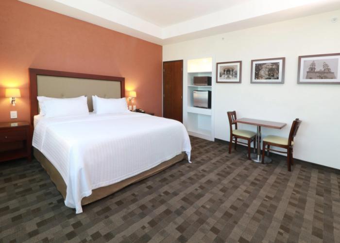 Holiday Inn Leon Plaza Mayor by IHG