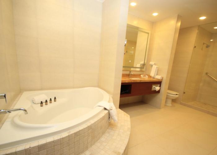 Holiday Inn Leon Plaza Mayor by IHG