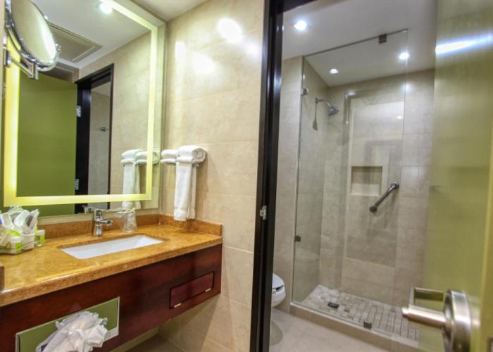 Holiday Inn Leon by IHG