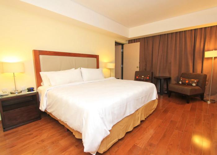 Holiday Inn Leon by IHG