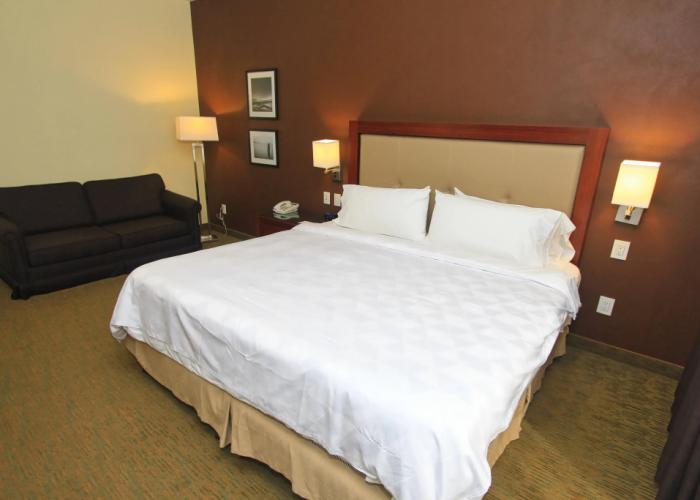 Holiday Inn Leon by IHG