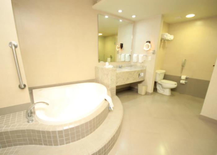 Crowne Plaza Leon by IHG