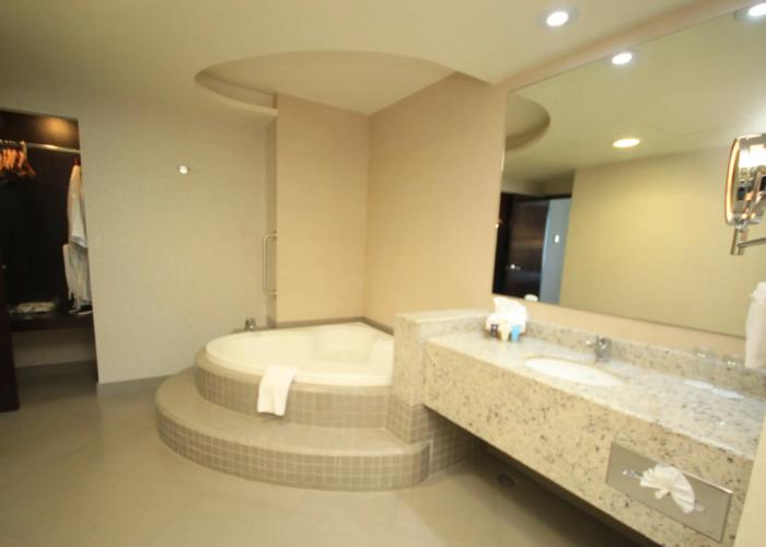 Crowne Plaza Leon by IHG
