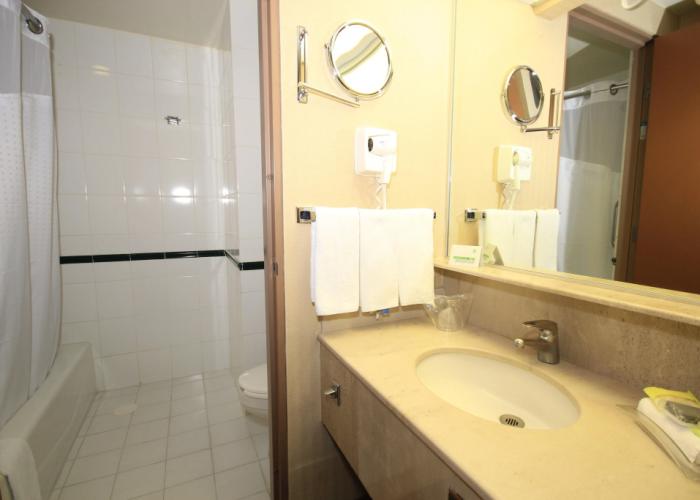 Holiday Inn Convention Center by IHG