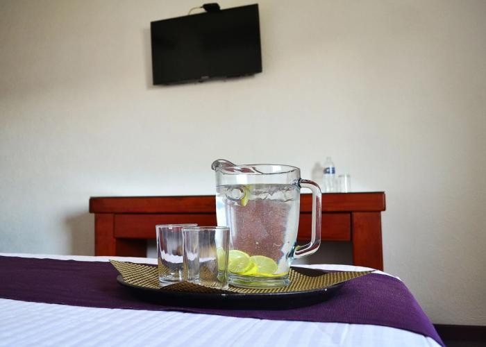 Hotel Campestre Inn