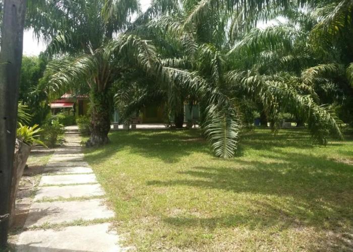 Baan Suan Nam Resort