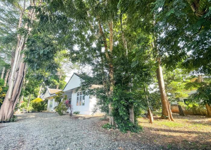Silpasom ARTstay Suratthani Guest house