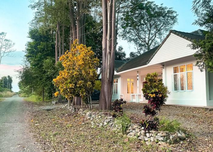 Silpasom ARTstay Suratthani Guest house