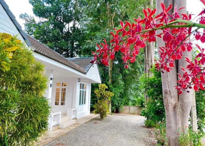 Silpasom ARTstay Suratthani Guest house