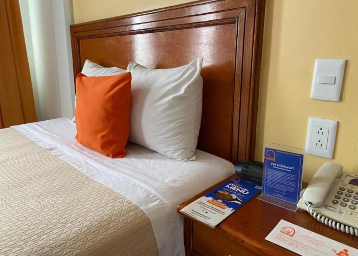 Hotel Báez Carrizal