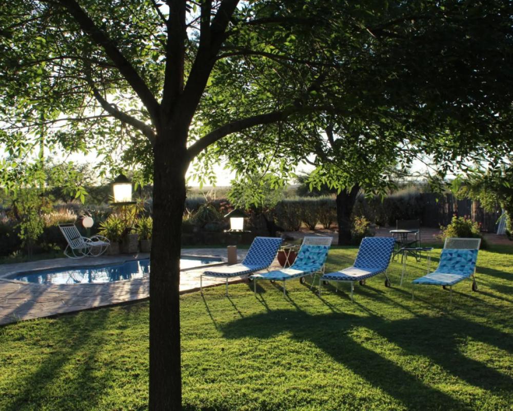 фото Etango Ranch Guestfarm