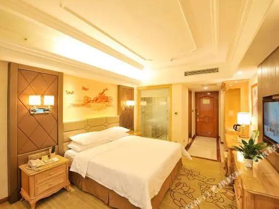Vienna International Hotel (Wuhan Yangguang Yuhang)