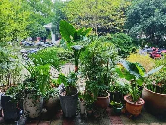 Ruoyin Hostel