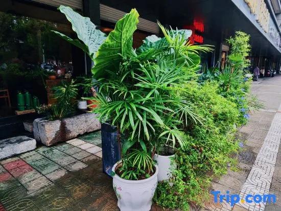 Ruoyin Hostel