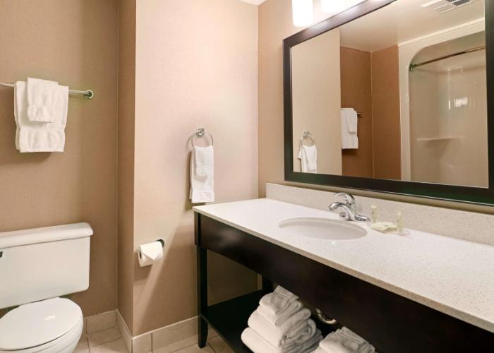 Best Western Swan Castle Inn