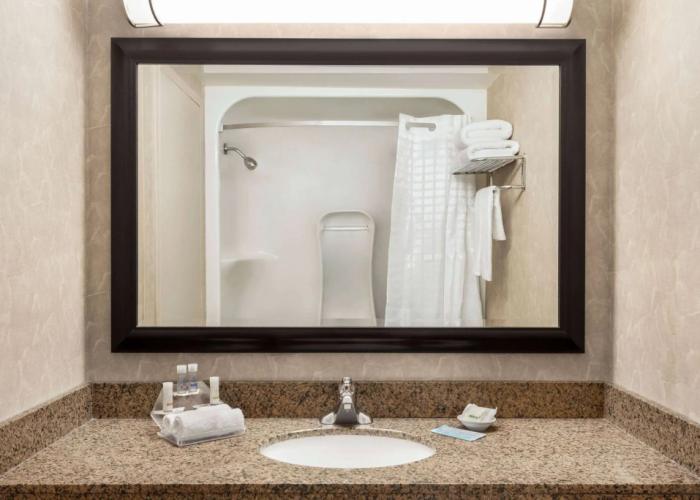 Royal Hotel West Edmonton, Trademark Collection by Wyndham
