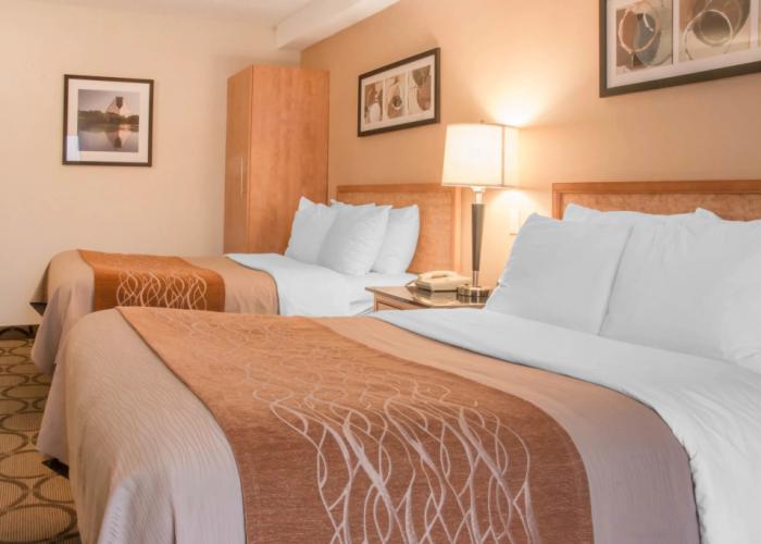 Comfort Inn Dryden