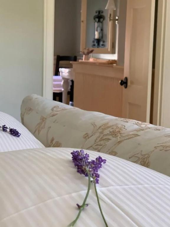 фото The Pebble Bed & Breakfast