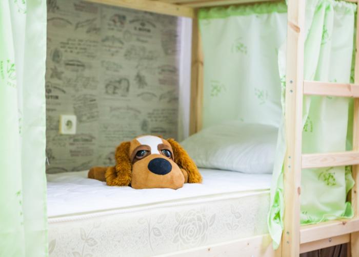 Rus - Yakutsk Hostel