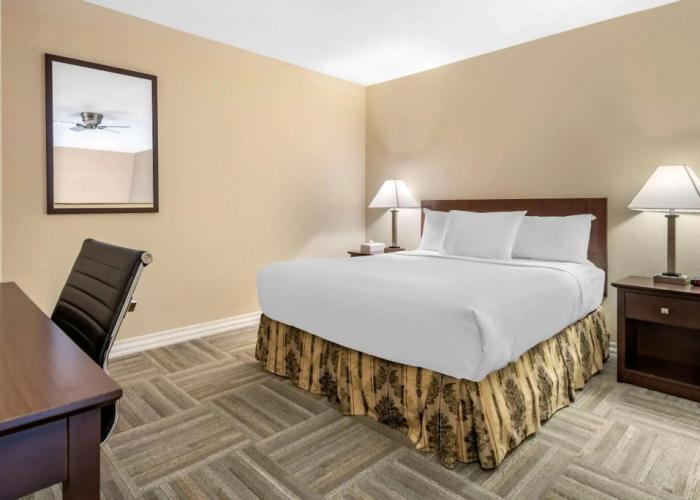 Econo Lodge Inn & Suites