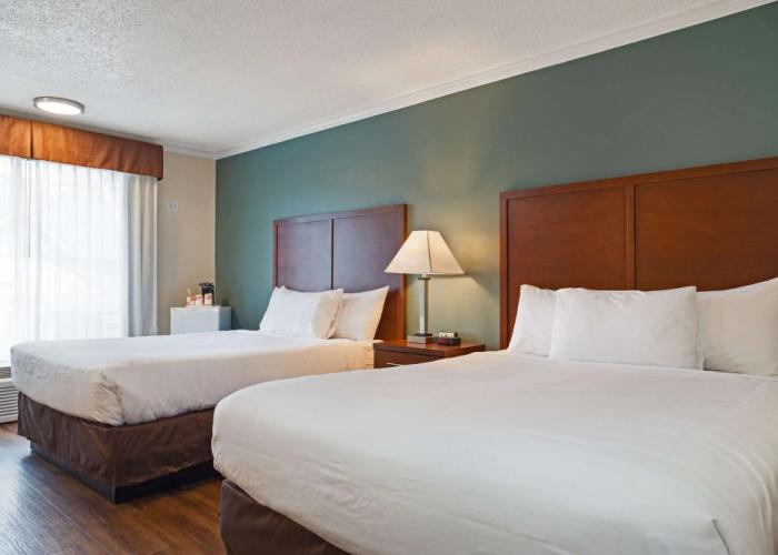 Econo Lodge Inn & Suites