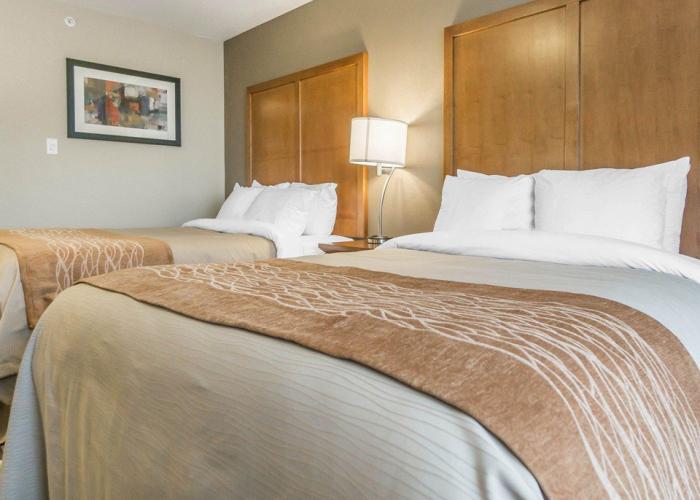 Les Suites Victoria, Ascend Hotel Collection