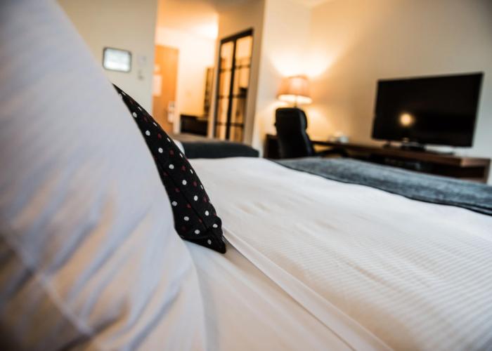 Hotel Hotel V