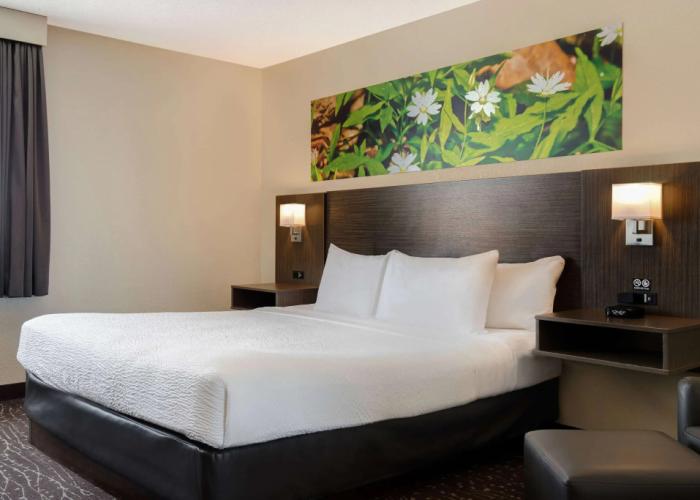 Days Inn & Conference Centre by Wyndham Prince Albert