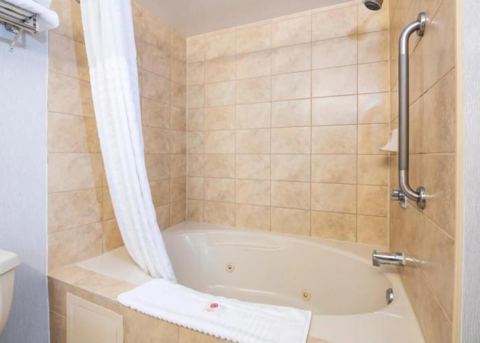 Comfort Hotel & Suites