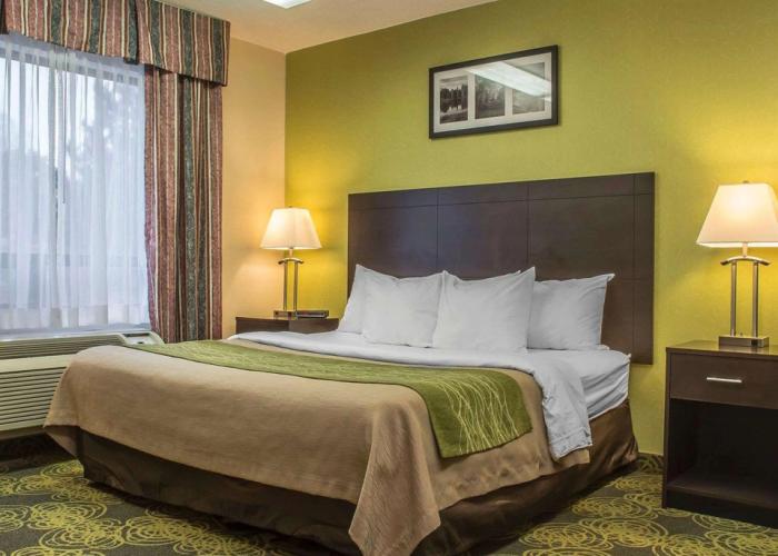 Comfort Hotel & Suites