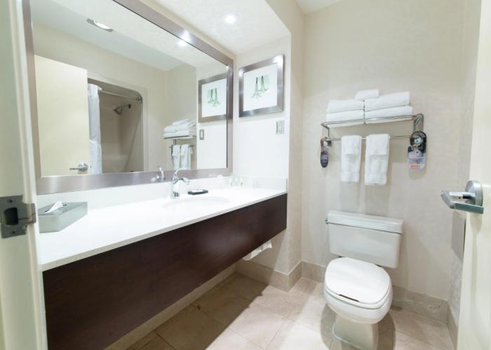 Holiday Inn & Suites Windsor Ambassador Bridge by IHG