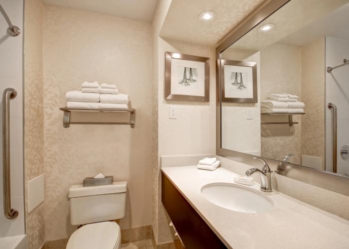 Holiday Inn & Suites Windsor Ambassador Bridge by IHG