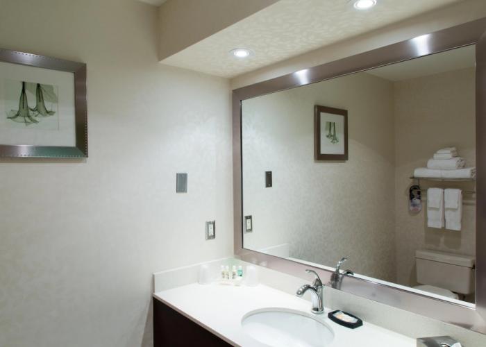 Holiday Inn & Suites Windsor Ambassador Bridge by IHG
